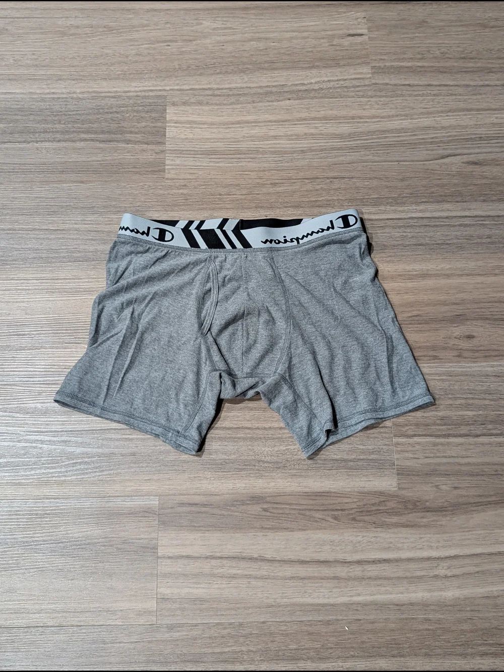 Champion Men’s Grey Performance Boxer Briefs